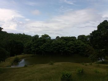 Scenic view of river by trees against sky