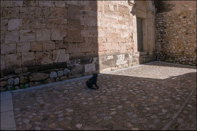 View of stone wall