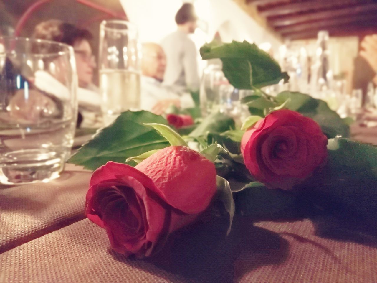 CLOSE-UP OF ROSES IN VASE