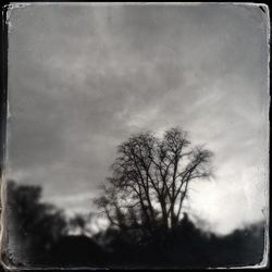 Low angle view of bare trees against cloudy sky