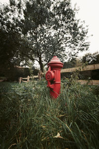 Red fire hydrant on field