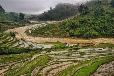 High angel view of terraced farms 