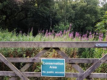 Information sign by fence against trees