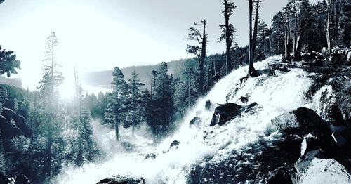 Scenic view of waterfall in forest against sky