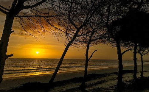 Scenic view of sea during sunset