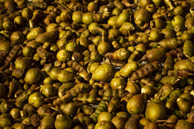 Full frame shot of blueberries