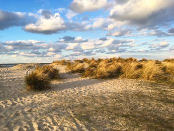 Scenic view of desert against sky