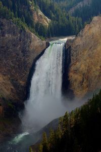 Scenic view of waterfall in forest