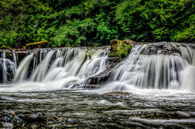 Scenic view of waterfall in forest