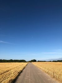 Road passing through agricultural field against clear blue sky