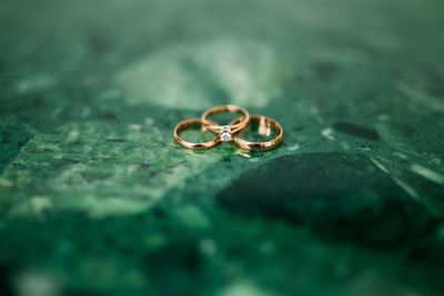 Close-up of wedding rings on leaf