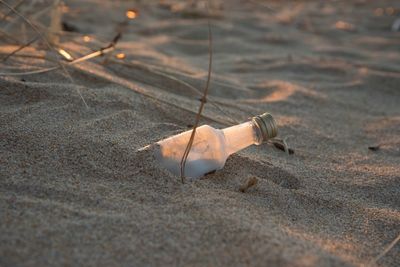 Bottle on sandy beach