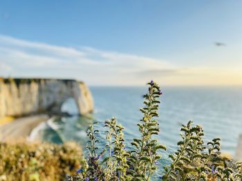 Falaise etretat