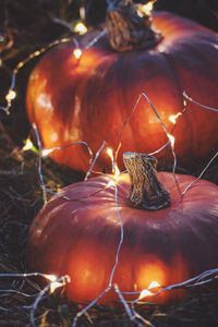 Halloween party night background with orange pumpkins and lights, vertical shot