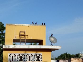 Low angle view of birds perching on building against clear sky