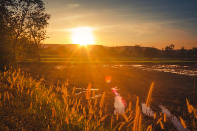 Scenic view of field against sky during sunset