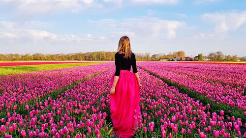Rear view of woman standing amidst pink tulips at farm