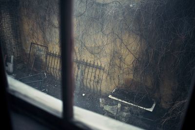 Reflection of bare trees on glass window