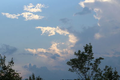 Low angle view of trees against cloudy sky