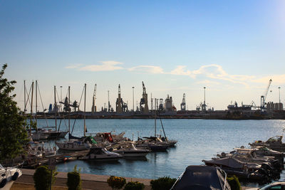 Sailboats moored in harbor