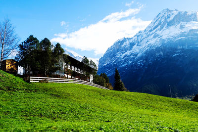 Scenic view of field and mountains against sky