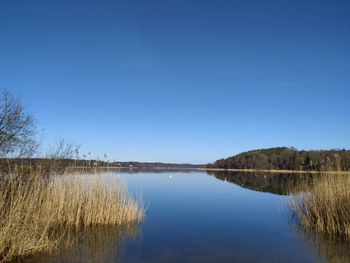 Scenic view of lake against clear blue sky