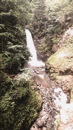 Scenic view of waterfall in forest