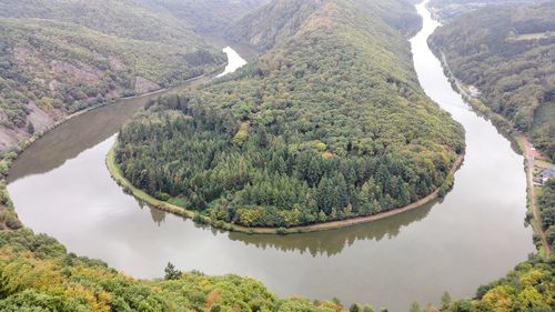 High angle view of river amidst trees