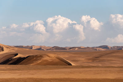 View from nature and landscapes of dasht e lut or sahara desert after the rain with wet sand dunes