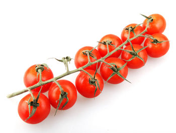 Close-up of cherries against white background