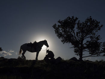Silhouette cowboy riding horse on field against sky