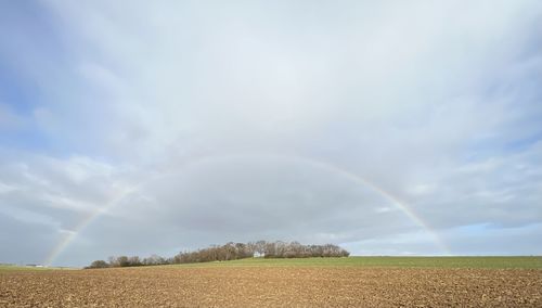 Scenic view of agricultural field against sky