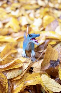 Close-up of figurine on leaves