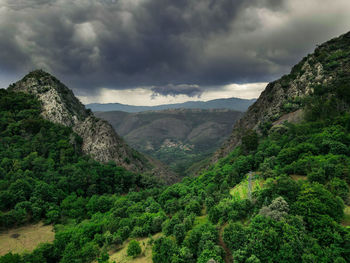 environment