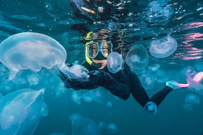 A woman in a black wetsuit is in the water with jellyfish. the jellyfish are floating around her