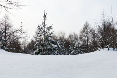 Bare trees on snow covered field against sky