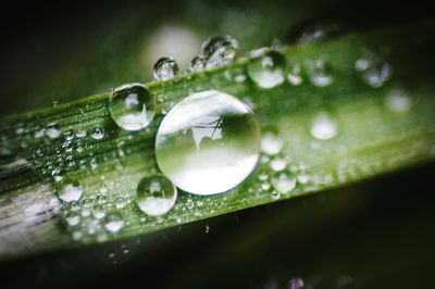 Close-up of illuminated light