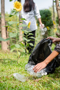 Low section of man holding plant