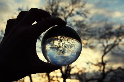 Low angle view of hand holding silhouette tree against sky