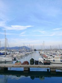 Sailboats moored in harbor