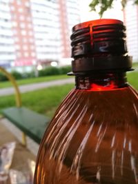 Close-up of plant against blurred background