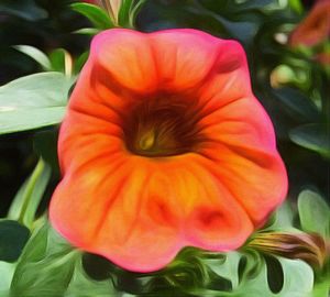 Close-up of flower