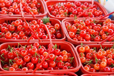 Close-up of red for sale in market