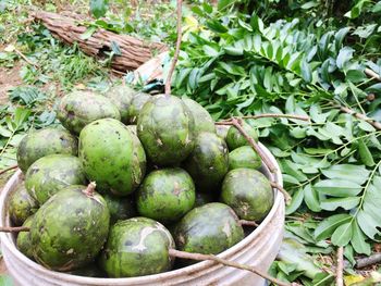 High angle view of fruits in basket