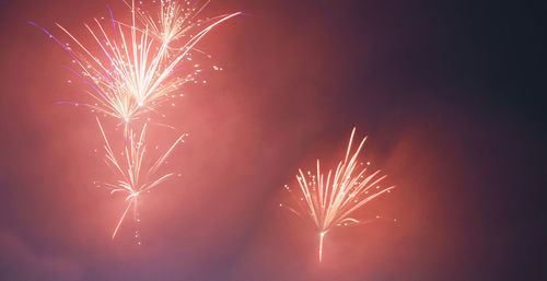 Firework display at night