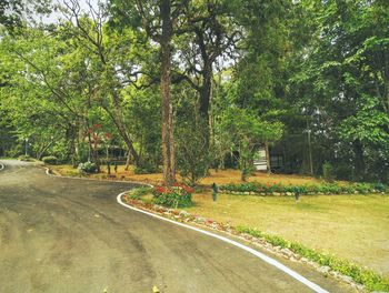 Road passing through trees