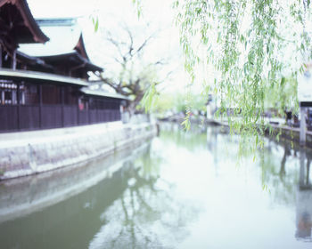 Reflection of trees and buildings in lake