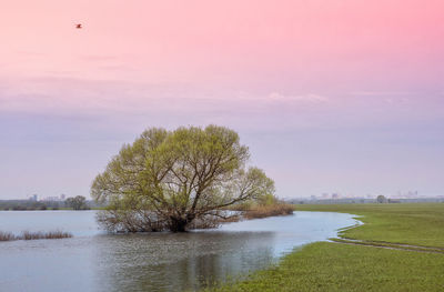 Scenic view of lake against sky during sunset