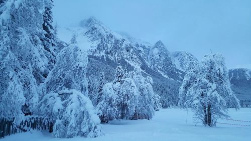 Scenic view of snow covered mountains