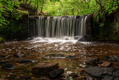 Scenic view of waterfall in forest